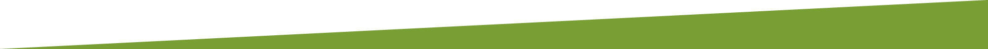 Grüne Leiste