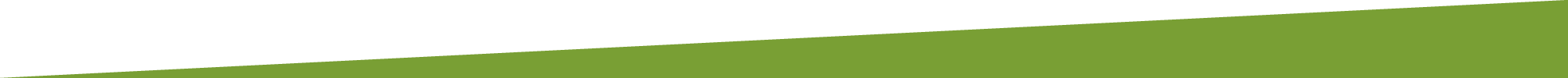Grüne Leiste