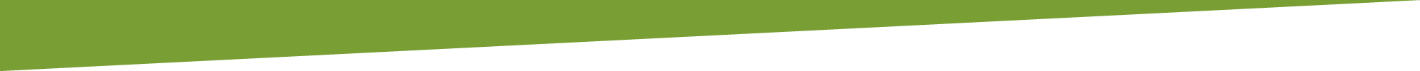 Grüne Leiste
