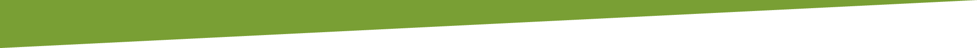 Grüne Leiste